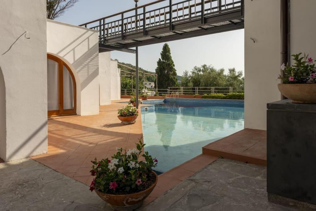 Villa Silvana Massa Lubrense Εξωτερικό φωτογραφία